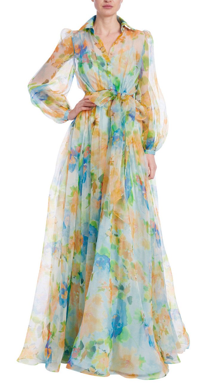 Printed Silk Organza Shirt Gown